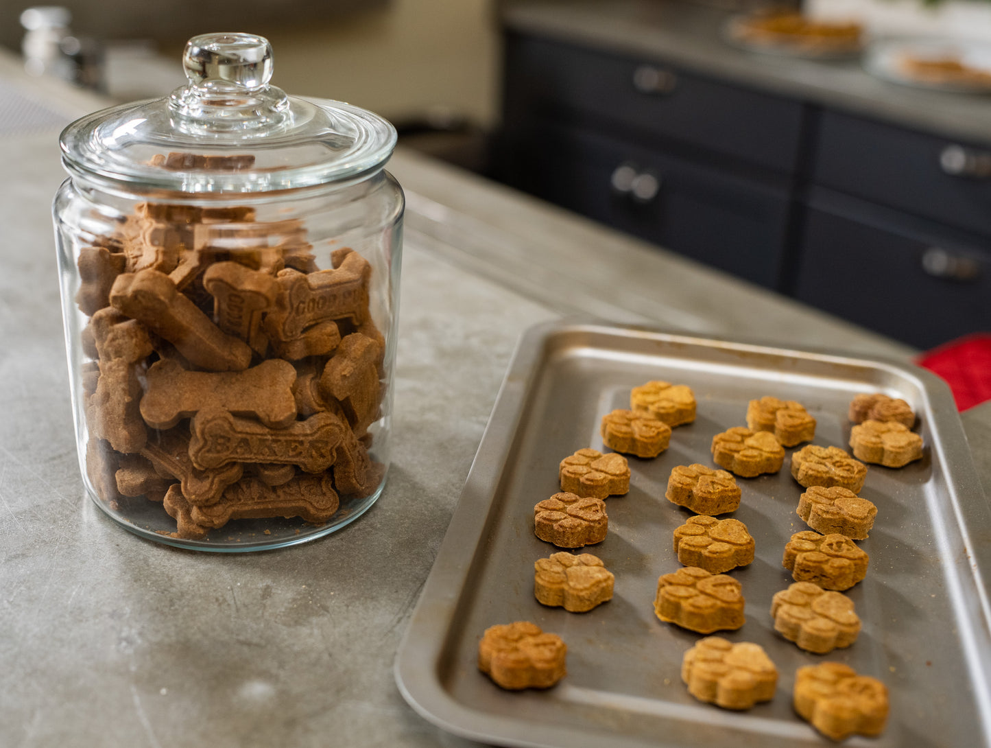 Custom Mini Paw Print Treats