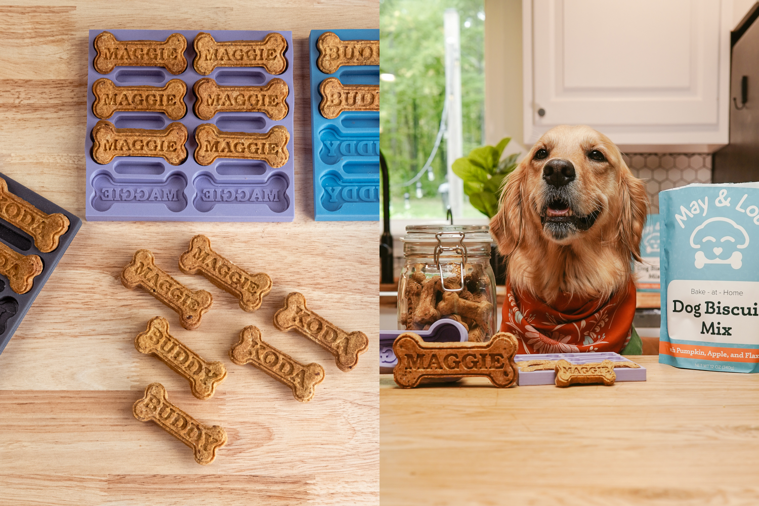 Dog sales treat websites