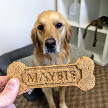 May & Lou Customizable Dog Treat Silicone Mold - Bone Shape Standard Mold with Pet Name - Dog Biscuit Custom Molds for Homemade Dog Treats 