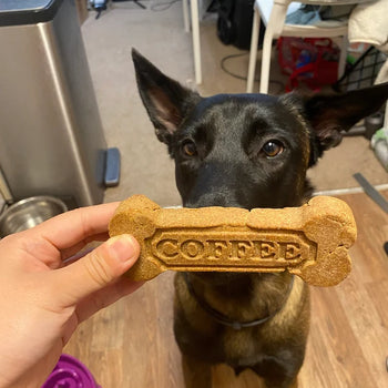 Copy of Dog Treat Molds (Free Today) – Doggielicious