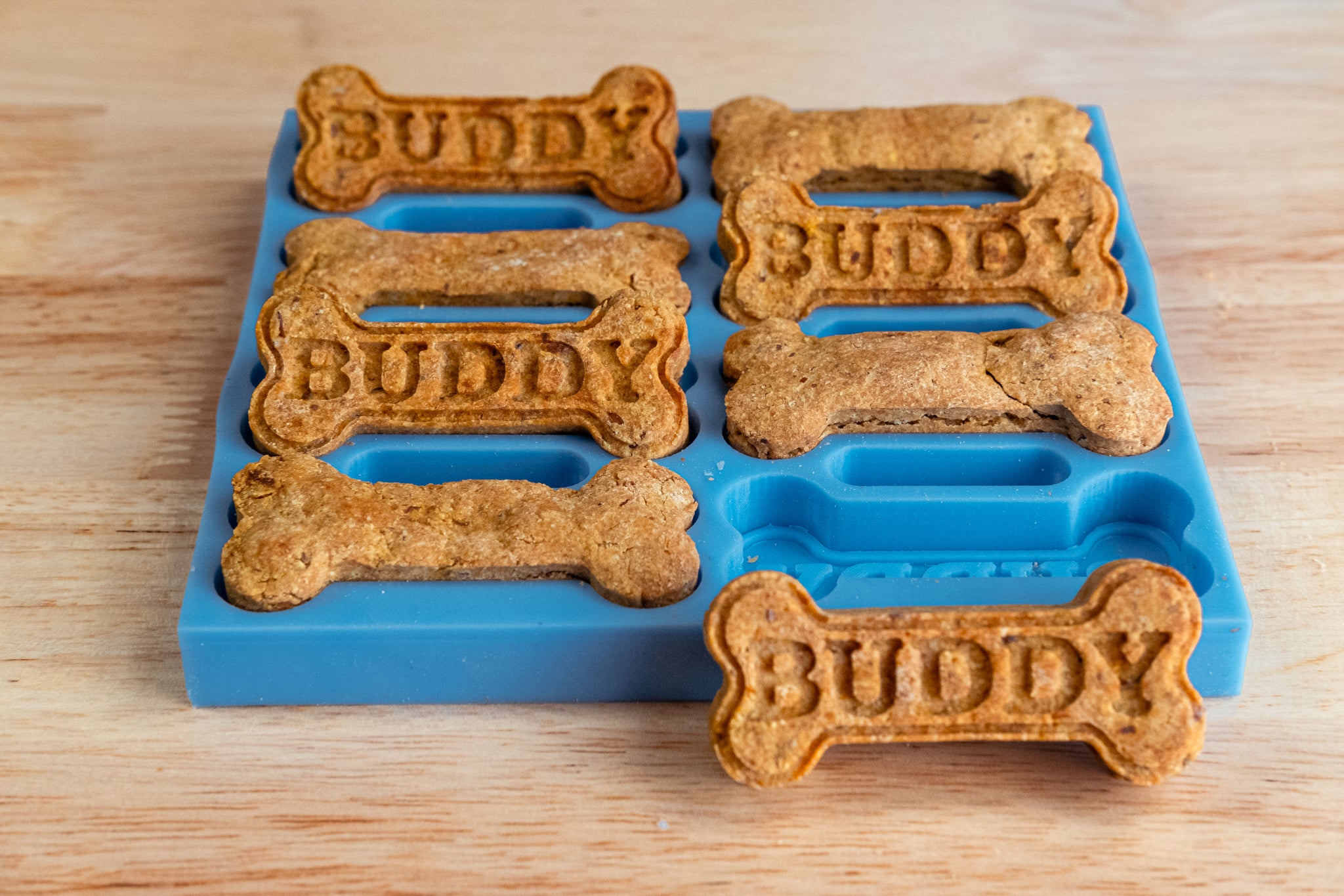 Dog on sale biscuit molds